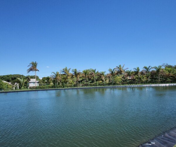 Sobrado de Alto Padrão no Condomínio Morro do Jatobá – Exclusividade, Natureza e Sofisticação