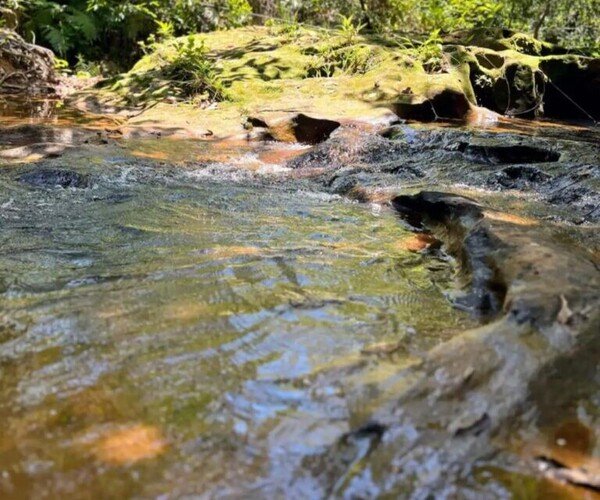 Chácara - Casa de Veraneio - F