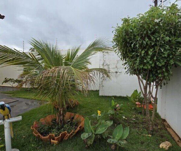 Casa – Jardim Mira Flores - F